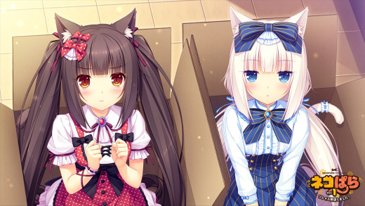 1064714 (a): :1920x1080
